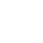 Technological Leadership​​​​​​​ Icon